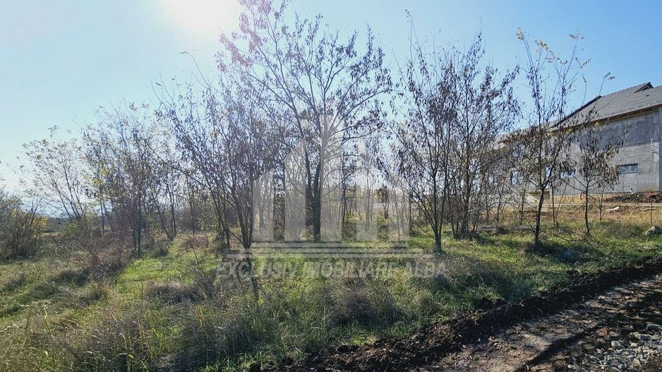 Teren intravilan de vanzare, Podei - Poză 2