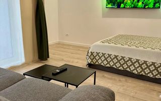 GARSONIERA GHICA APARTMENTS - CURTE PROPRIE 16 MP, PET FRIENDLY - Poză 3