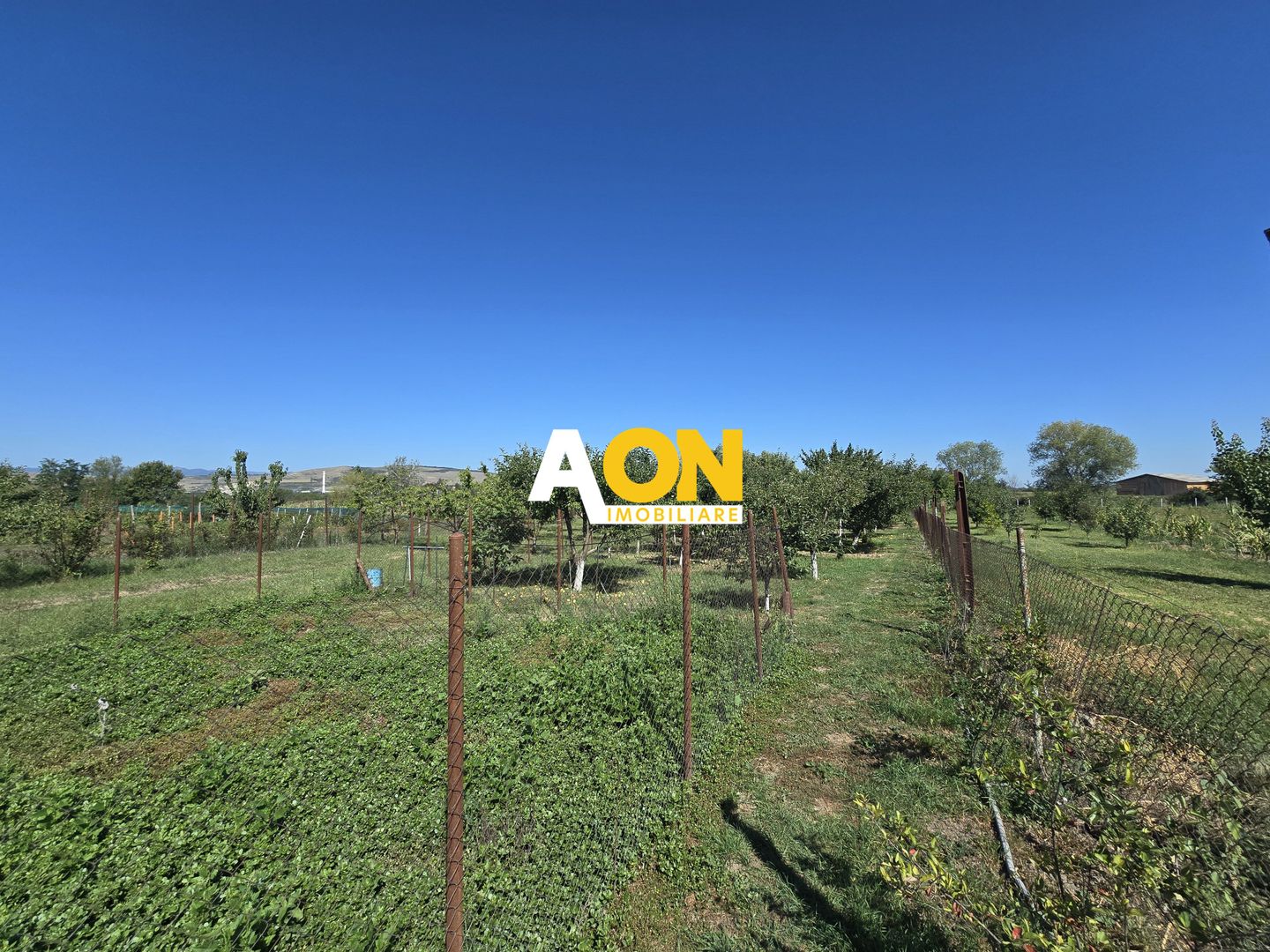 Casa 5 Camere 1700mp Teren, 10km de Alba Iulia - Poză 22