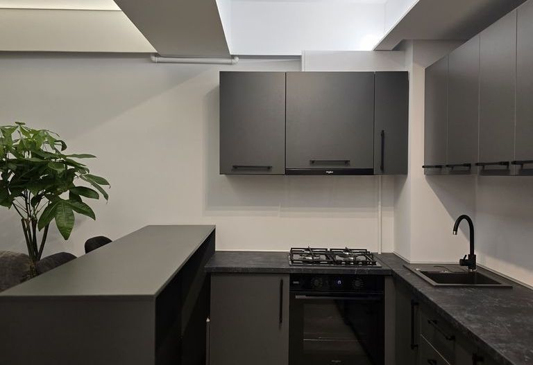 Apartament de inchiriat 2 camere - Cortina North - Poză 3