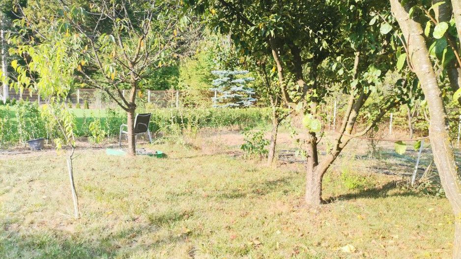 Vanzare teren intravilan Pitesti, strada Zamfiresti - Poză 6