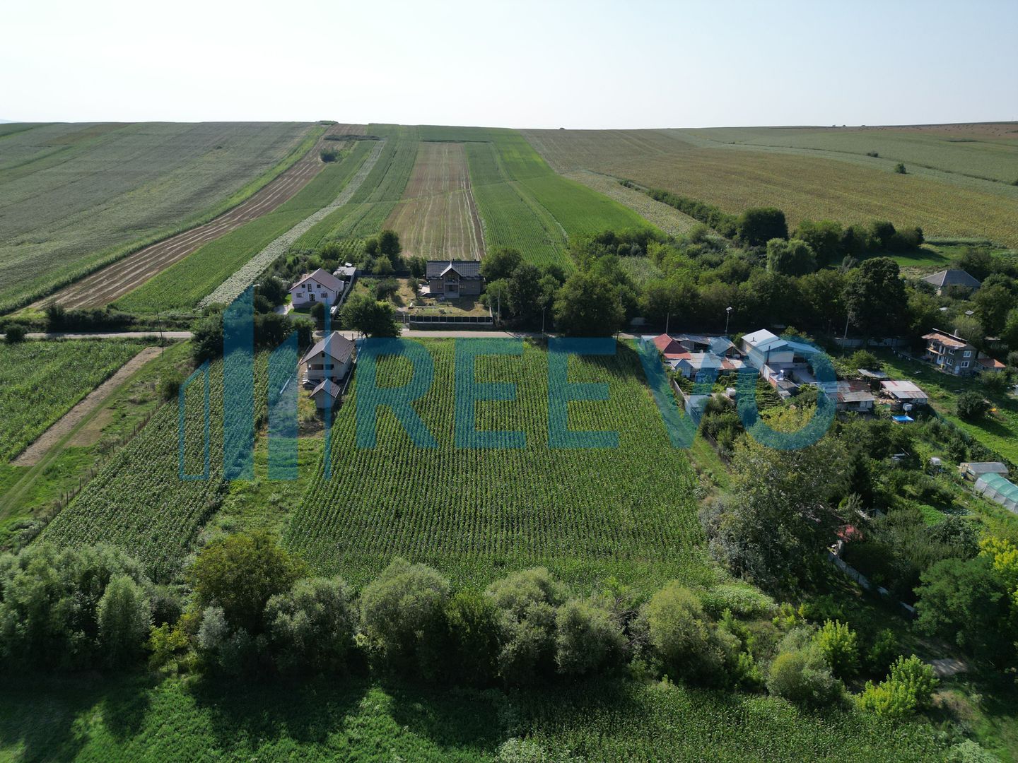 Teren intravilan de vânzare, Sat Bogdănști, Com. Traian - Poză 5