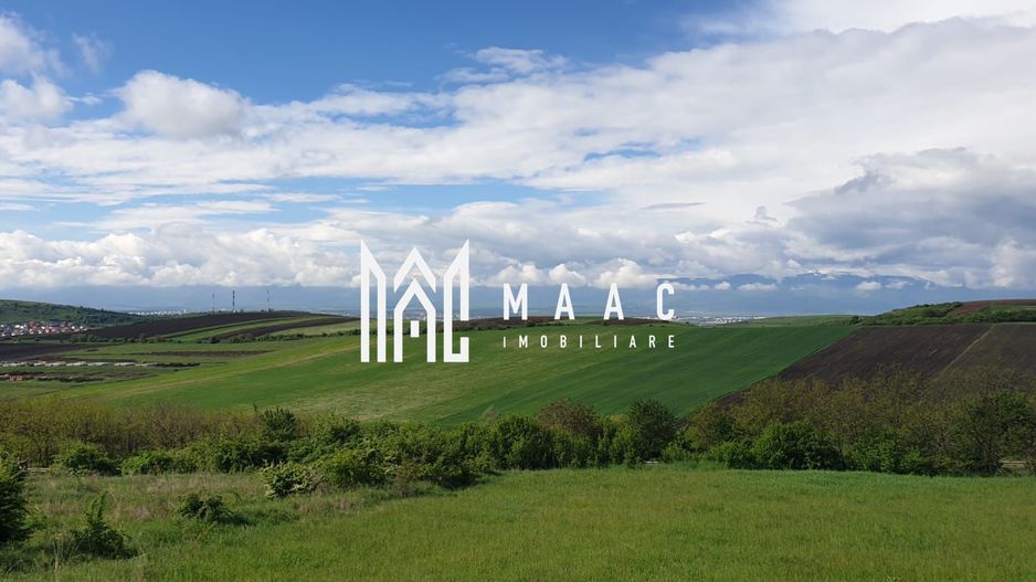 Teren | S+P+E | S+P+M | Intravilan | 9826 MP | Sura Mare - Poză 4