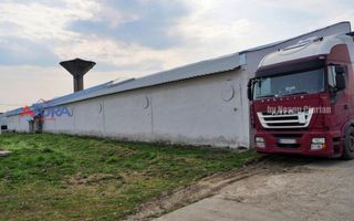 COMISION 0% - HALE Calinesti Arges - Poză 68