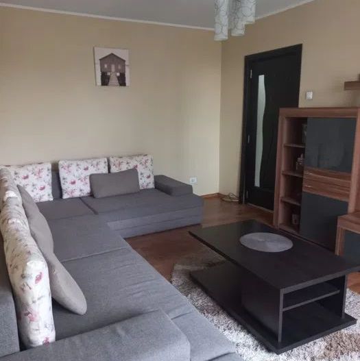 Apartament modern si cochet, 3 camere Raul Doamnei - Poză 3