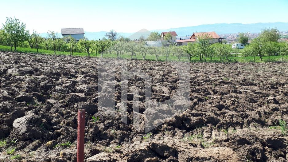 Teren de Vanzare - Gusterita - 5100mp - Intravilan - 0% Comision - Poză 4