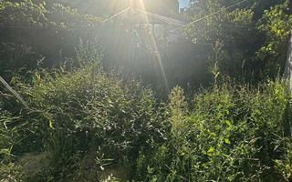 Confort și intimitate, zona Andrei Muresanu. - Poză 1