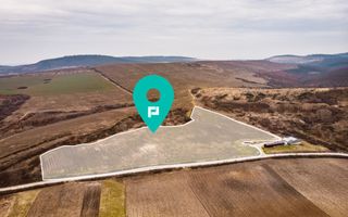 Vie de 115 Hectare în satul Dud, județul Arad - Poză 1