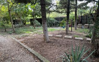 Casă individuală Buftea, 3.162 mp teren, ieșire spre lac - Poză 15