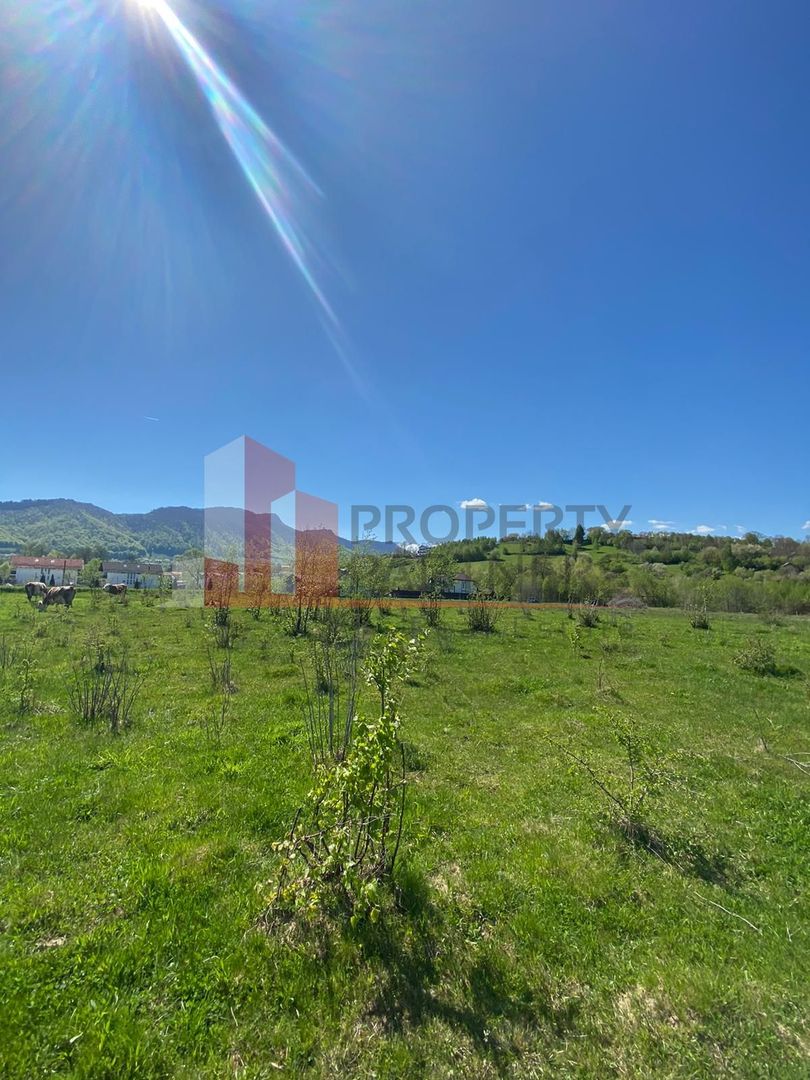 Teren Bran/ Predelut 10.663 mp. - Poză 3