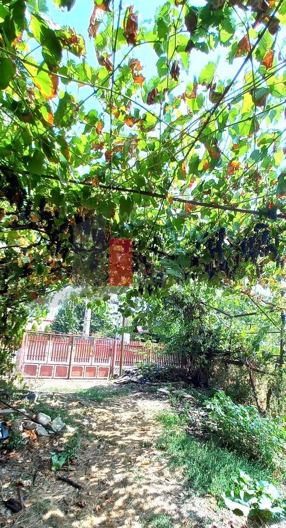 Teren 1024 mp+ casă din cărămidă în suprafață de 121 mp - Poză 8