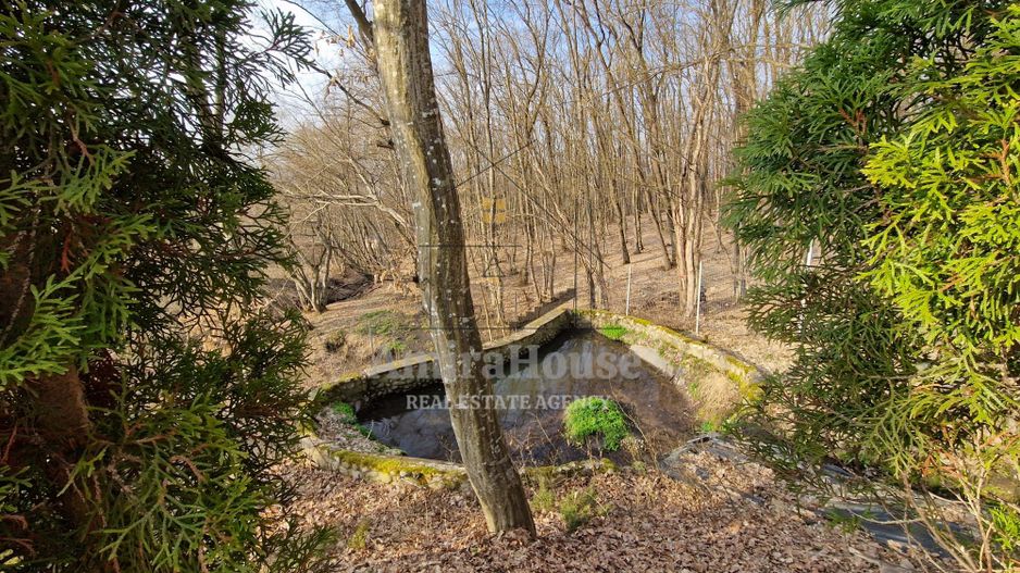 Casa din lemn D+P+M de 400 mp utili si teren 3.000 mp zona Faget - Poză 22