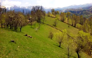 teren intravilan in zona Magura Bran - Poză 12