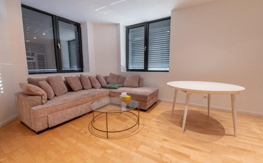 Apartament 2 camere | Herastrau - Poză 11