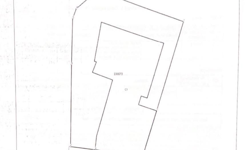 Casa de închiriat zona Floreasca - Poză 2