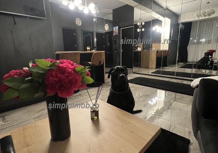 Apartament 2 cam UNIC FINISAT MODERN Dobroiesti - Poză 6