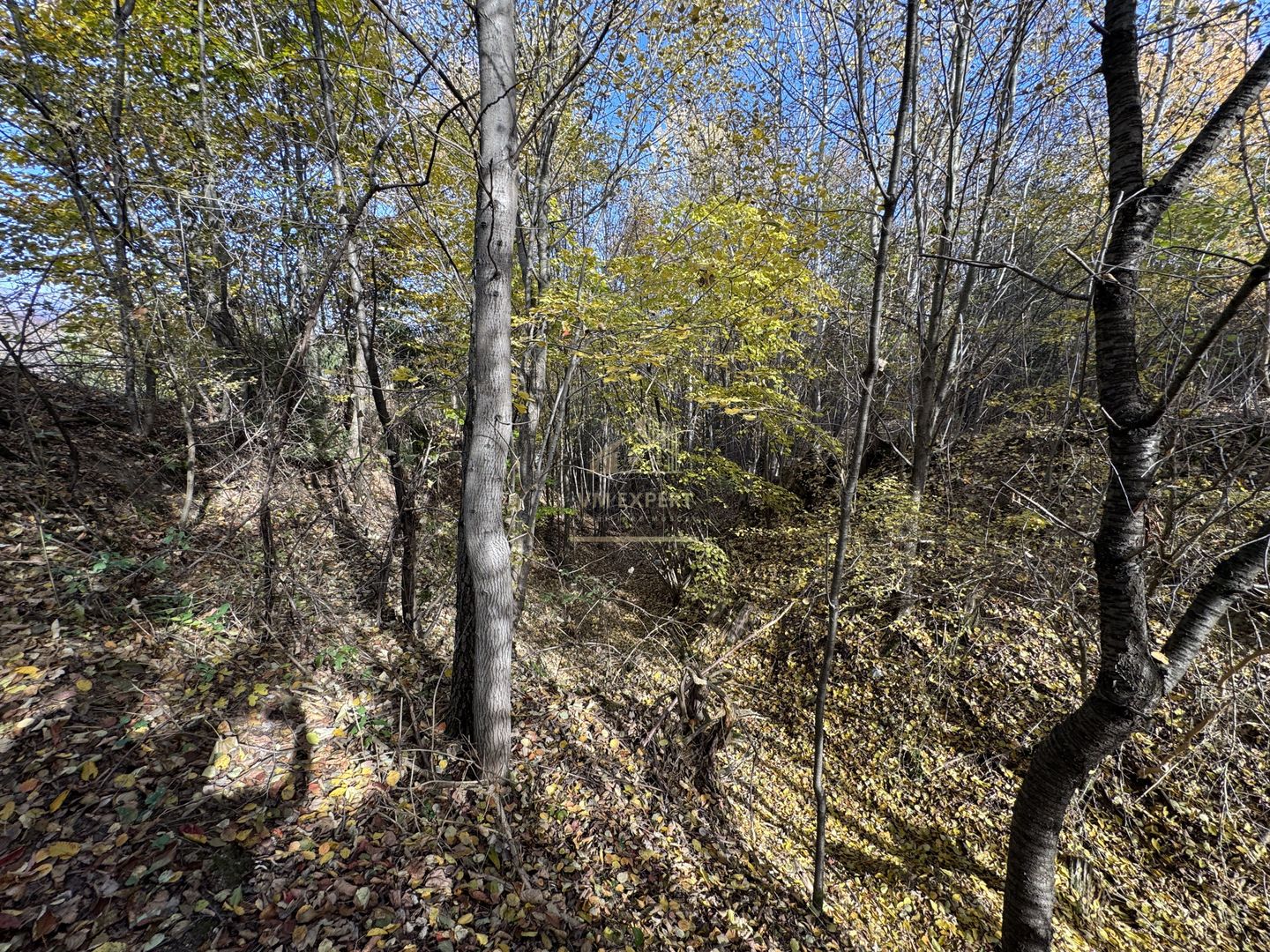 TEREN INTRAVILAN 13167 MP BUGHEA DE SUS ARGES - Poză 25