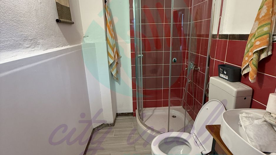 Casa singura in curte intre Calea Calarasilor si Pache Protopopescu - Poză 12