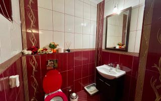 De vânzare casă cu suprafața de 250 mp plus 900 mp teren - Poză 15