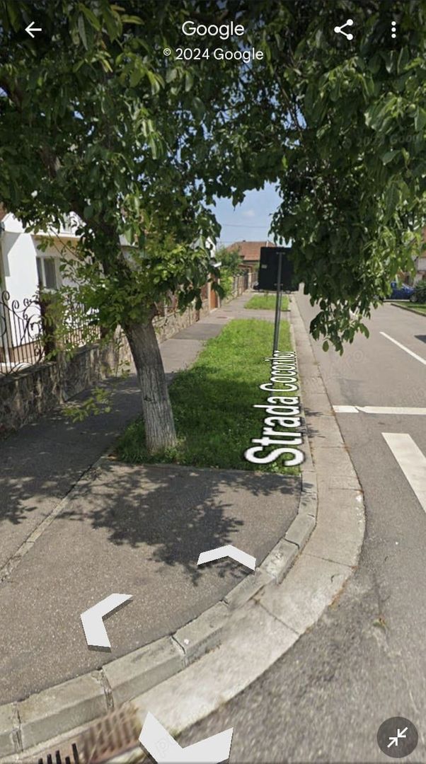 Casa, anexe din caramida plina 3-5 cam cart Viitorului zona linista - Poză 4