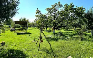 casa 3 camere Viile Satu Mare - Poză 13