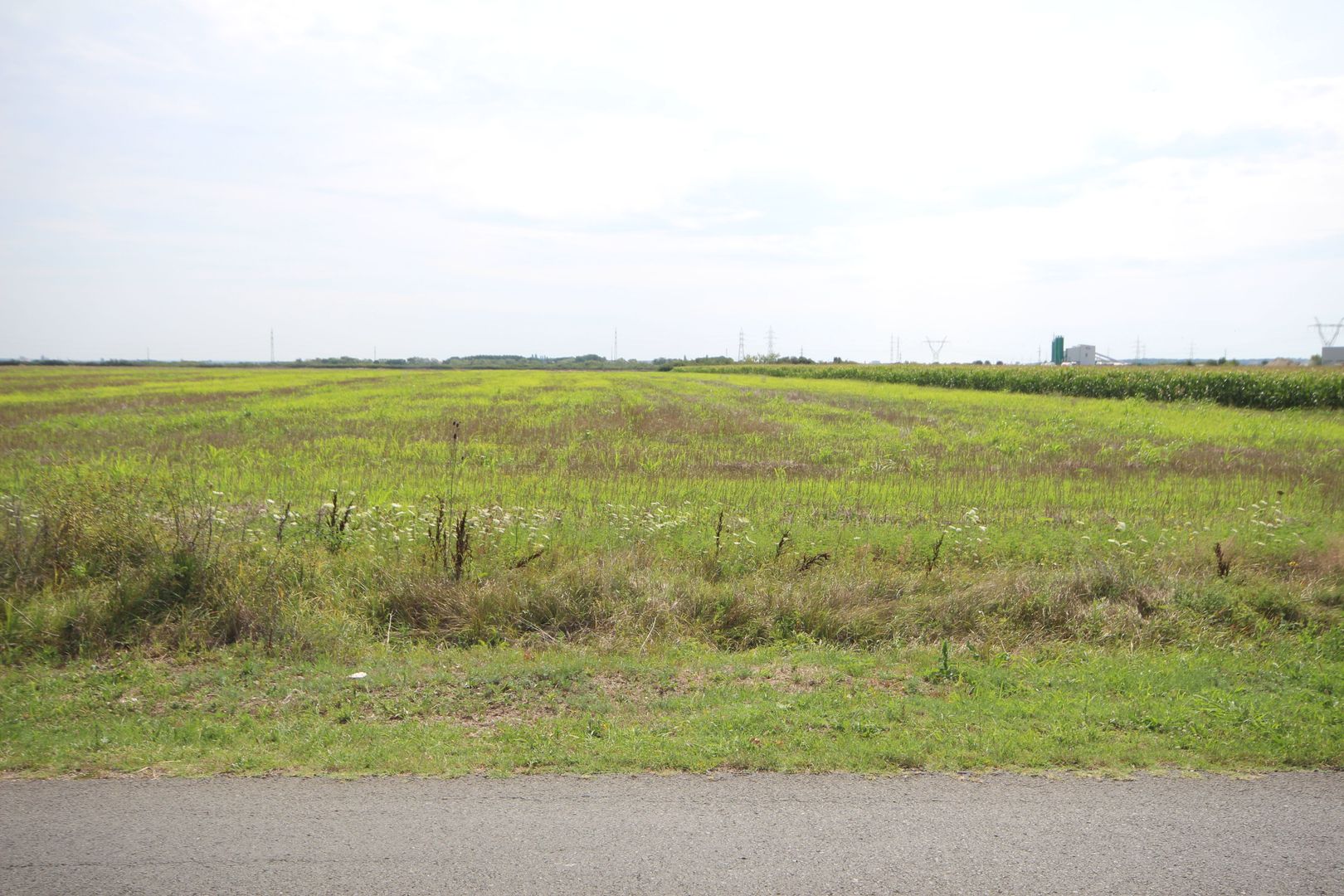 Terenuri  PUZ destinatie industriala 12.900 mp Centura de N - Poză 4