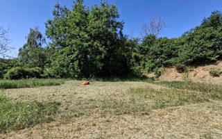 Teren Intravilan 1200 mp Podgoria - Poză 2