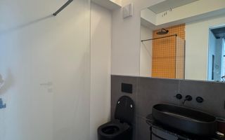 Loft spectaculos în complexul exclusivist Brick Loft – Intrarea Chefalului - Poză 16