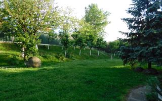 Vilă cu 1.350 mp teren în mijlocul orașului Grădina Botanică - Poză 17