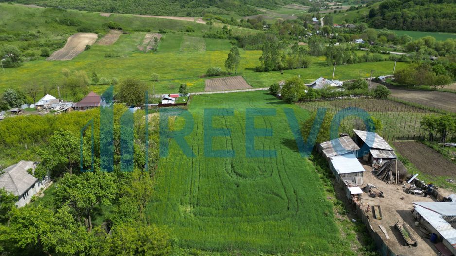 Teren de vânzare, Sat Valea Mare, Com. Roșiori, Bacău - Poză 6