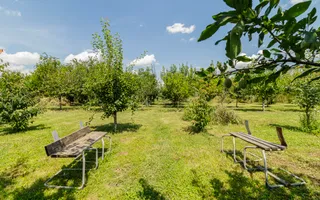 Casă de vânzare Tâncăbești cu grădină, aproape de lac - Poză 28