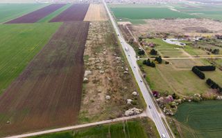 Teren de 41800 mp ieșire Vladimirescu - Poză 2