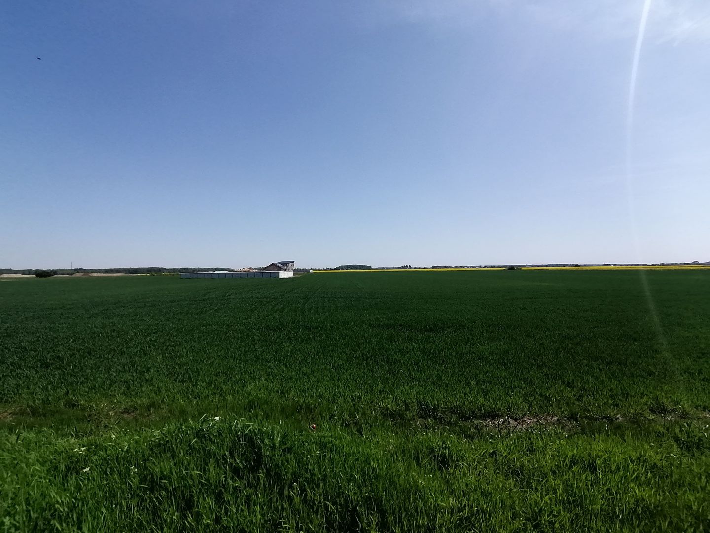 Teren intravilan 9313 mp in comuna 1 Decembrie - Ilfov - Poză 1