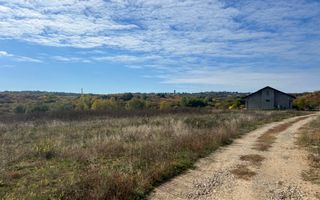 Teren intravilan 3961 MP | Paleu | Bihor - Poză 7