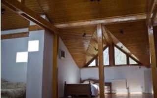 VILA SNAGOV | DESCHIDERE LA LAC - Poză 7