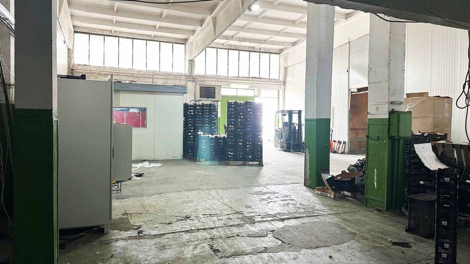 Hala industriala de inchiriat – 760 mp, Arad (Gradiste/Sere) - Poză 4