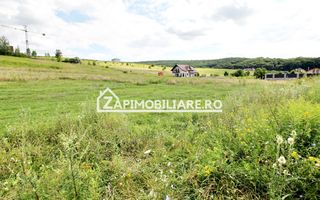 Teren 6.800mp teren cu deschidere de 100 m la drum asfaltat - Poză 3
