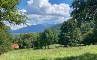 Teren cu livada Bran/ Predelut - Poză 13