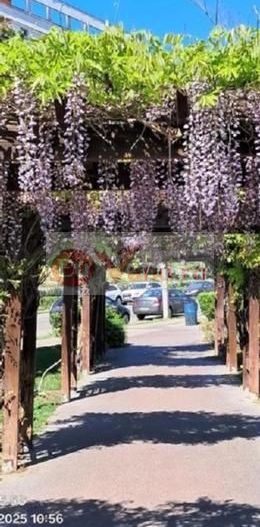 De inchiriat garsoniera langa ITM, parter/9, 280 euro - Poză 11