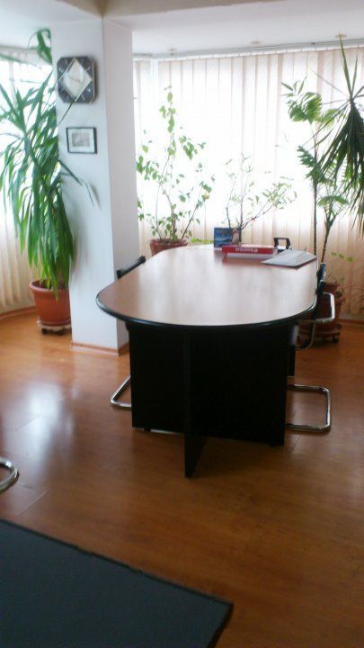 Casa/Vila/Spatiu comercial  Rahova-Sos.Salaj - Poză 10