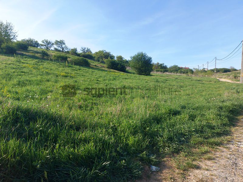 Teren intravilan str.Padurii - Poză 3