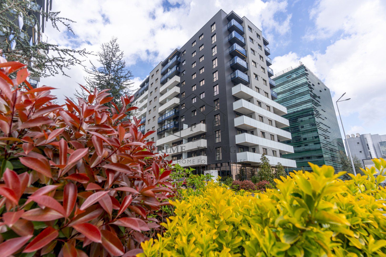 APARTAMENT COCHET CU 2 CAMERE LA INCHIRIERE IN CORTINA NORD - Poză 12