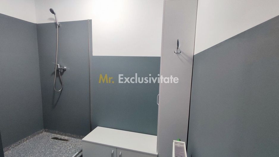Inchiriere Spații de Birouri/Producție - Str. Uzinei - Carei - Comision 0% - Poză 22