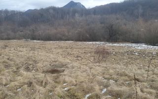 Teren Pretabil Investitie | Parau Rece Rasnov | 10.035mp | Extravilan - Poză 7