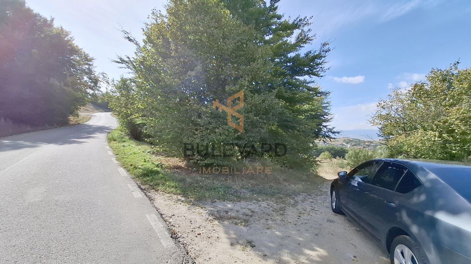 Comision 0. Teren cu autorizatie de construire in Salicea - Poză 2