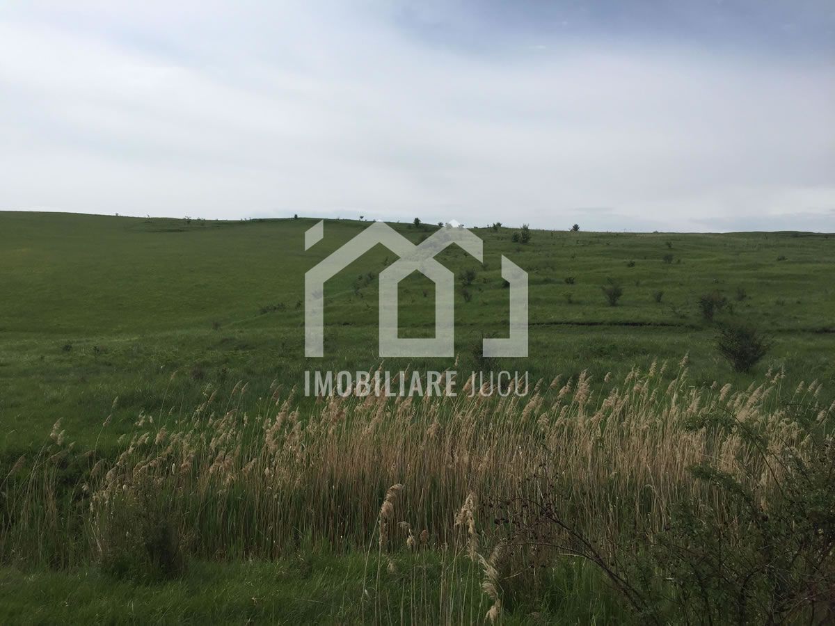 Teren Intravilan Jucu de Mijloc – proiect de locuinte aproape de Cluj - Poză 4