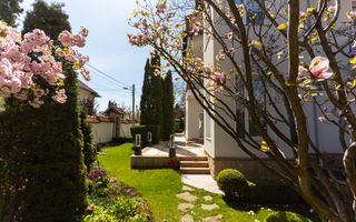 Chirie, casă, 3 nivele, 5 camere, strada Drumul Viilor, Telecentru - Poză 9