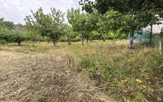 Teren 3.000 mp, cu autorizație și utilități - Poză 5