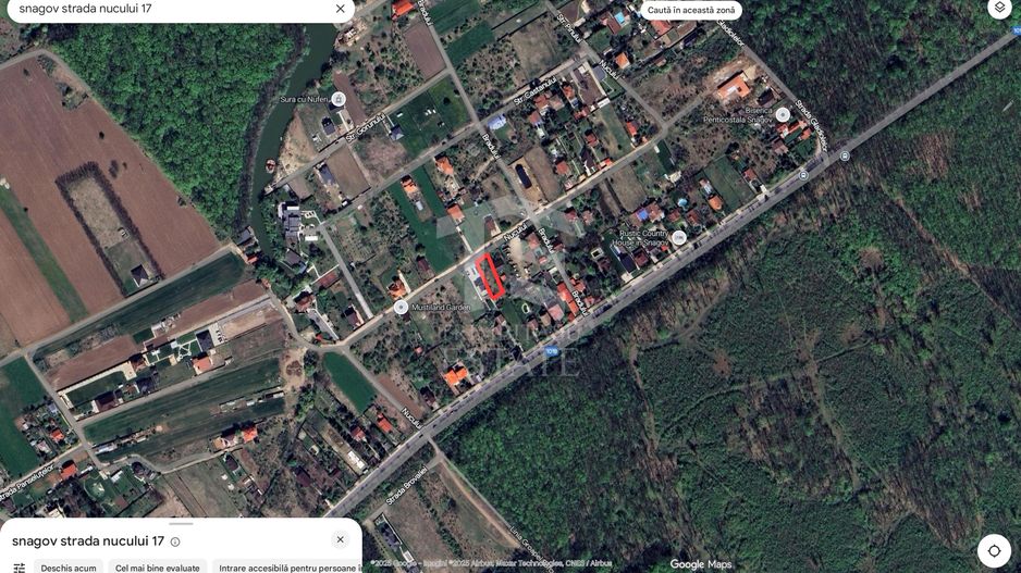 Teren de vanzare ASTORIA Snagov str. Nucului - Poză 5