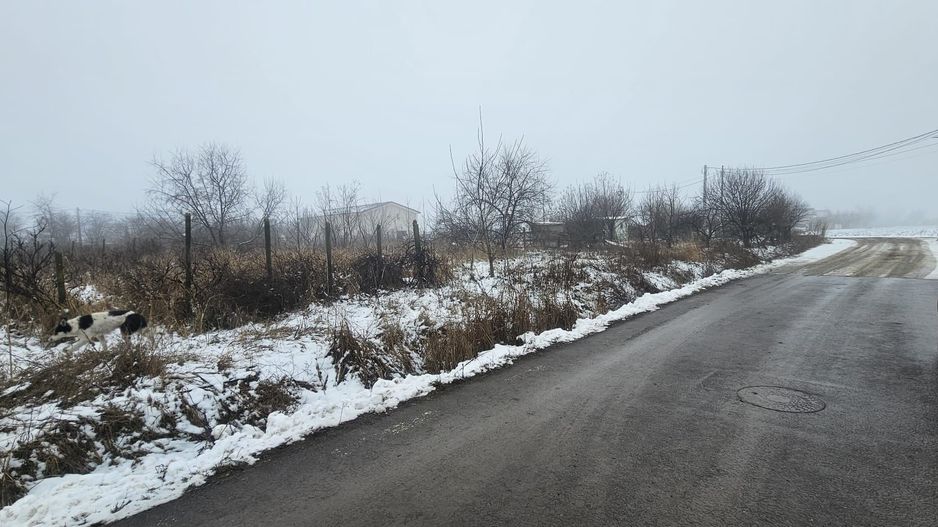 Exclusivitate MAG Invest – Teren 2300 mp Vanatori, ideal investitie - Poză 2